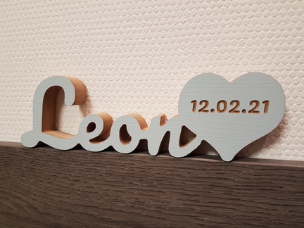 2021-02-Leon 001